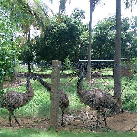 Mango Village Farm House Nelliyampathy Eksteriør bilde